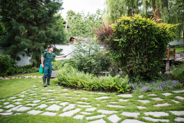 Best Best Pest Control Companies  in Yalaha, FL