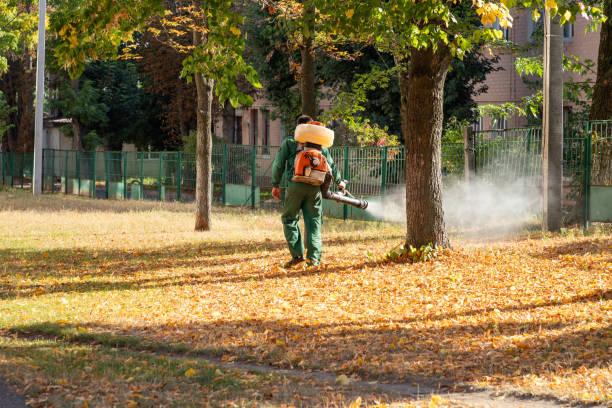 Best Mosquito Control Services  in Yalaha, FL